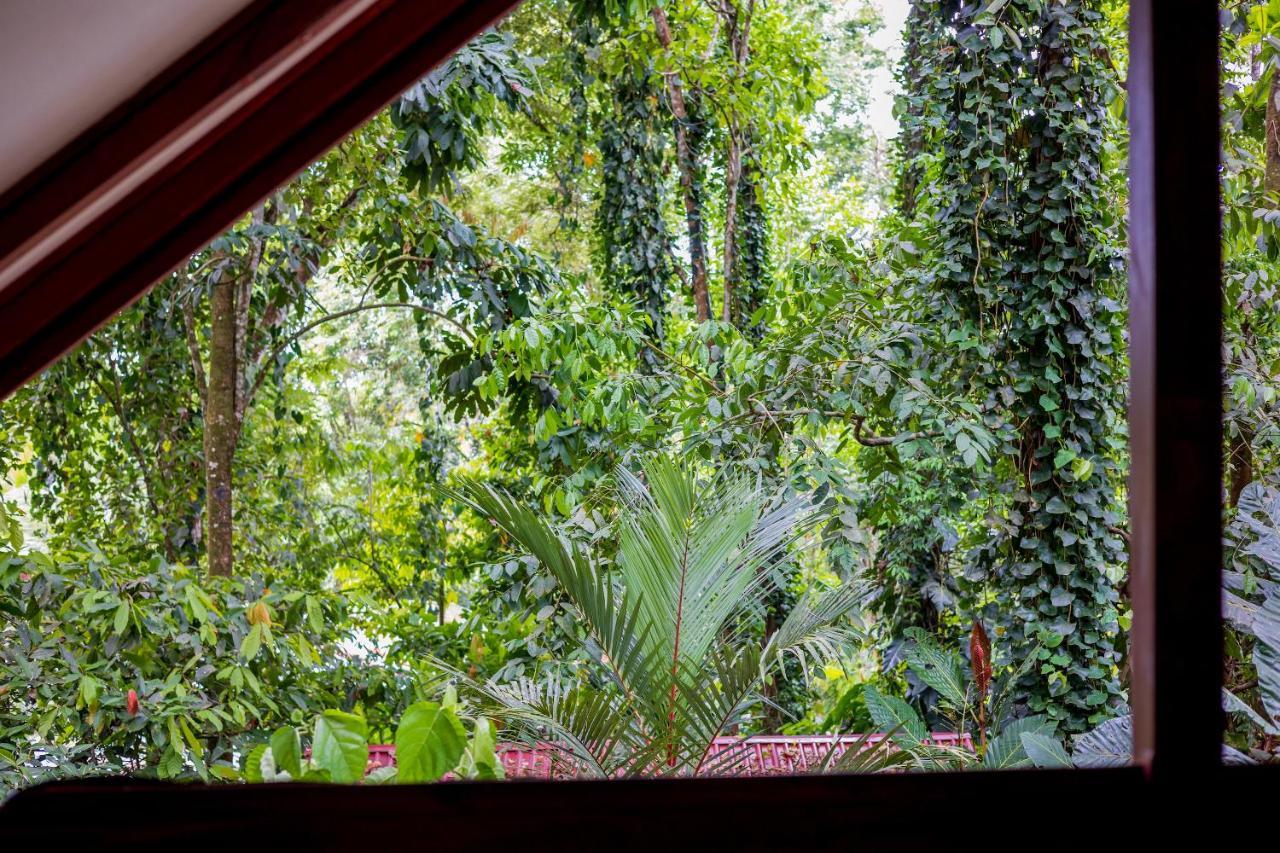 Namuwoki Lodge Puerto Viejo de Talamanca 외부 사진